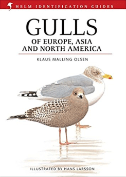 Gulls of Europe, Asia & North America