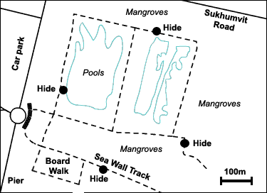 Bang Poo Roosting Pools Map