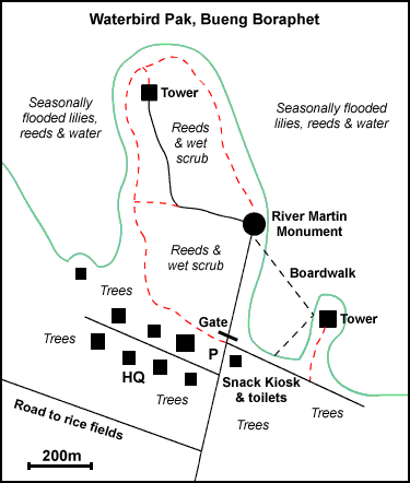 Bueng Boraphet Waterbird Park (Nok Nam Park) Map