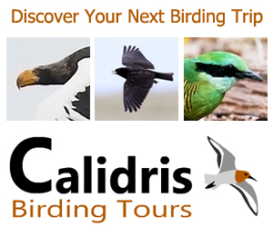 Birding Tours