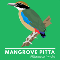 Mangrove Pitta T-shirt