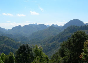 Birdwatching in Thailand; Locations, Doi Ang Kang, Chiang Mai.