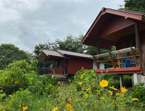 Rang Bon Doi Inthanon Accommodation