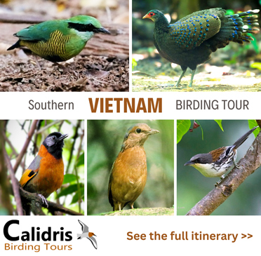 Vietnam Birding Tour